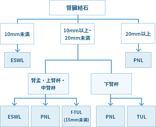 腎臓結石 10mm未満：ESWL 10mm以上～20mm未満 腎孟・上腎杯・中腎杯：ESWL、PNL、f-TUL（15mm未満） 下腎杯：PNL、TUL 20mm以上：PNL